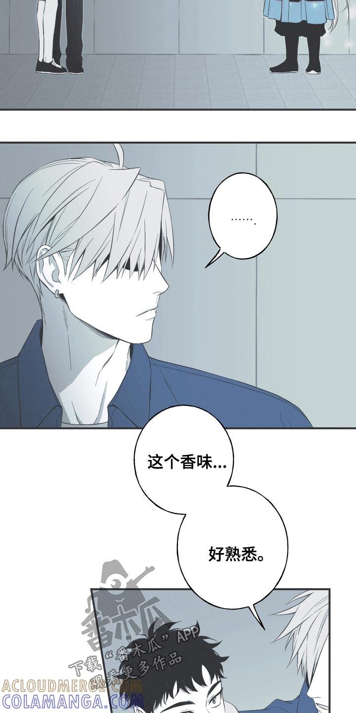 《蛇环凶危》第100章：【第三季】终于出现了 第15页