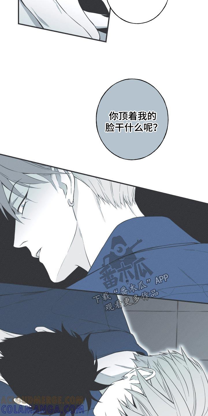 《蛇环凶危》第100章：【第三季】终于出现了 第11页