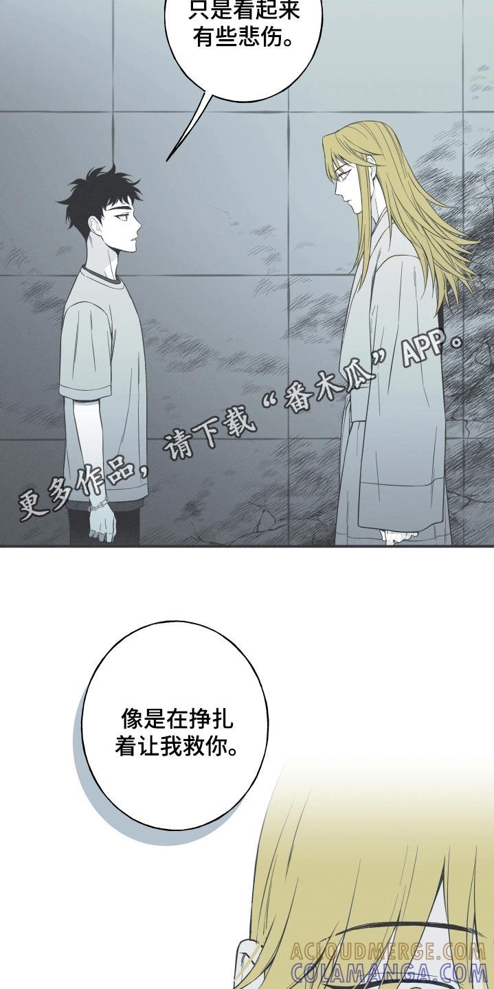 《蛇环凶危》第100章：【第三季】终于出现了 第33页