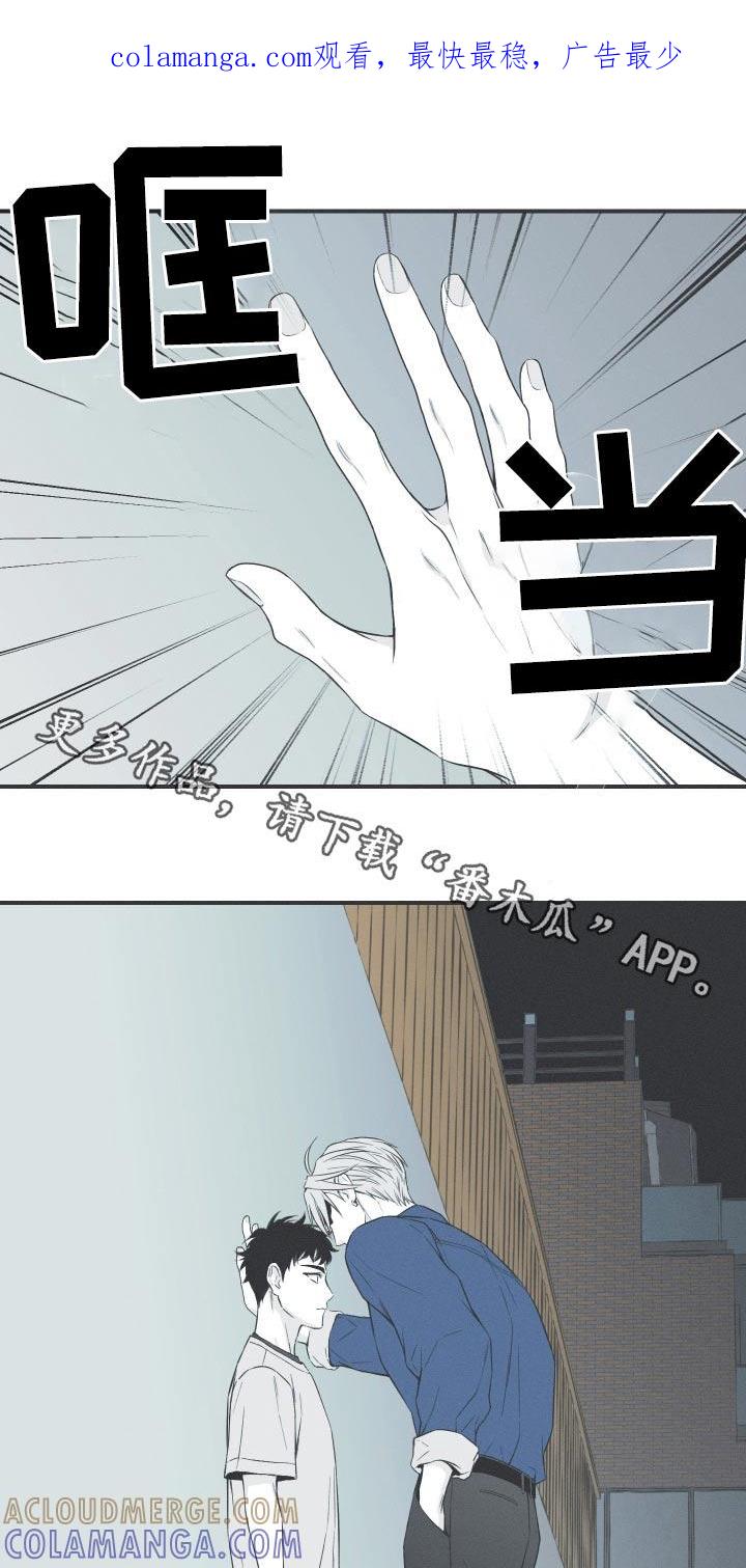 《蛇环凶危》第100章：【第三季】终于出现了 第1页