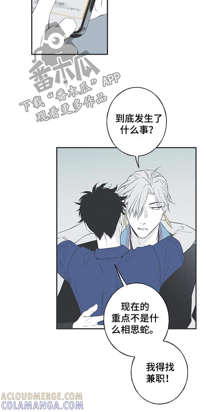《蛇环凶危》第91章：【第三季】找兼职 第13页