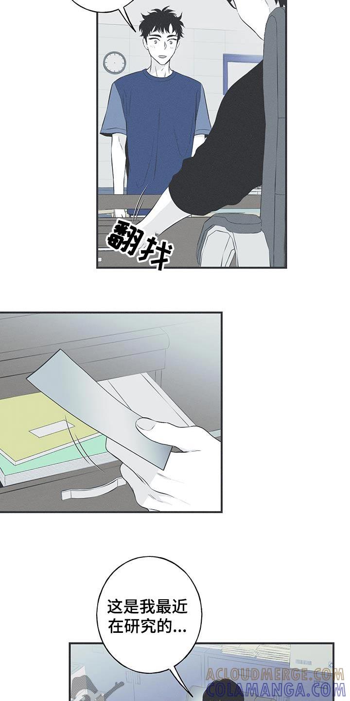 《蛇环凶危》第93章：【第三季】这是什么 第17页