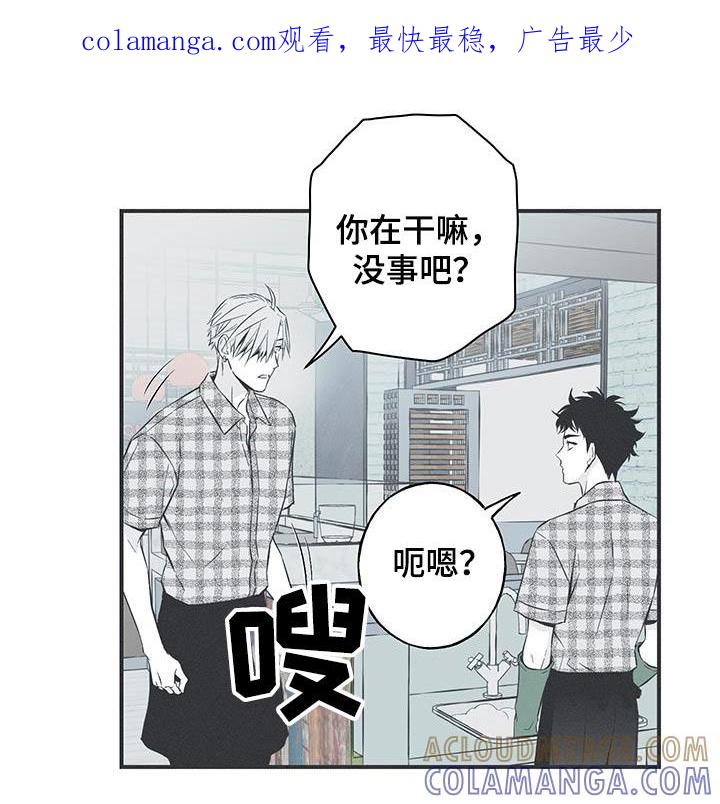 《蛇环凶危》第93章：【第三季】这是什么 第1页