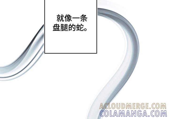 《蛇环凶危》第93章：【第三季】这是什么 第13页