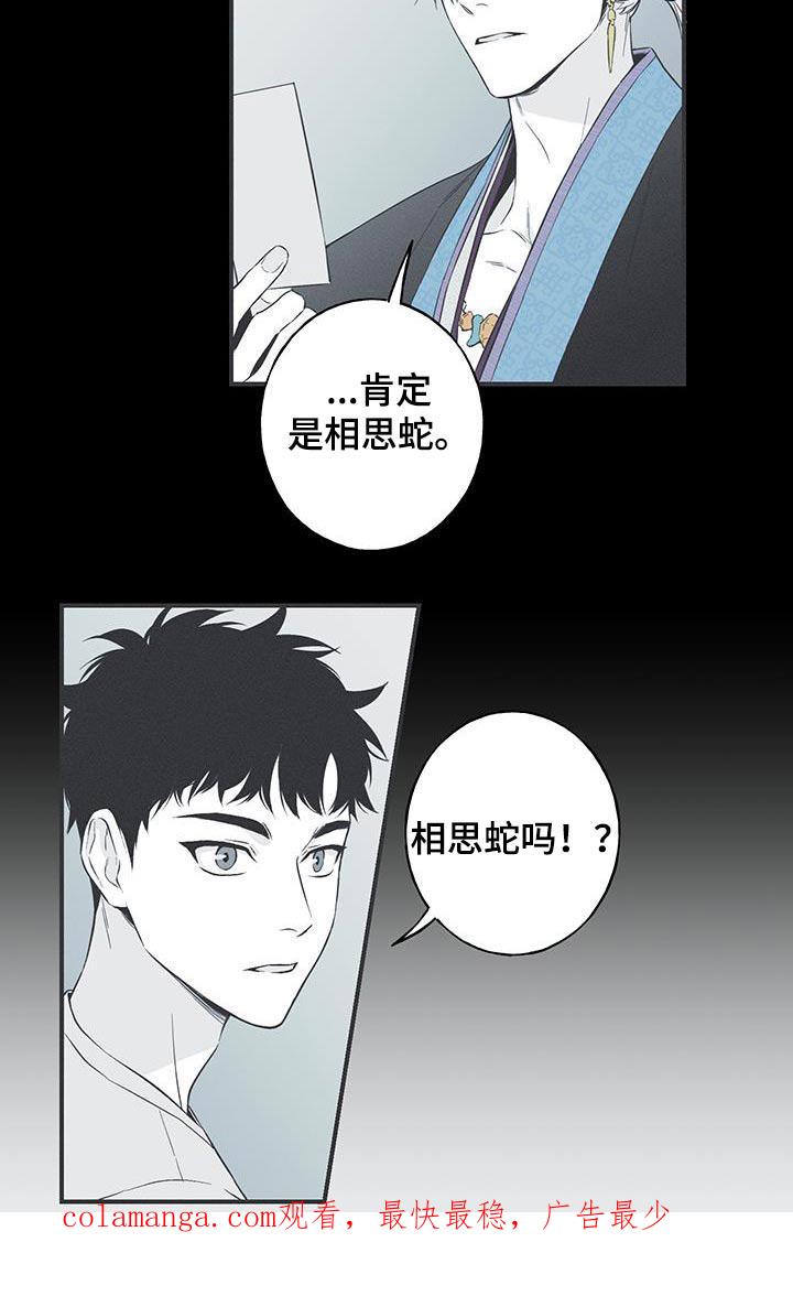 《蛇环凶危》第94章：【第三季】面具 第20页