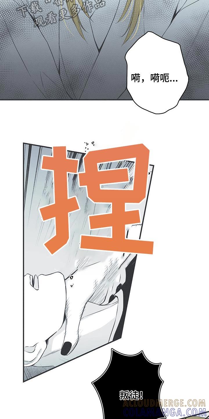 《蛇环凶危》第96章：【第三季】线索 第9页