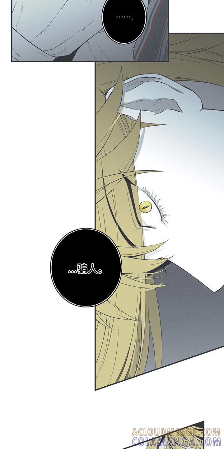 《蛇环凶危》第96章：【第三季】线索 第5页