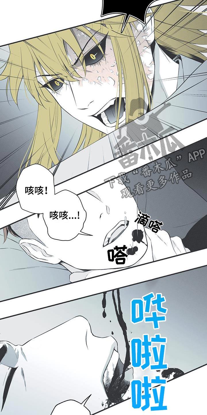 《蛇环凶危》第96章：【第三季】线索 第10页