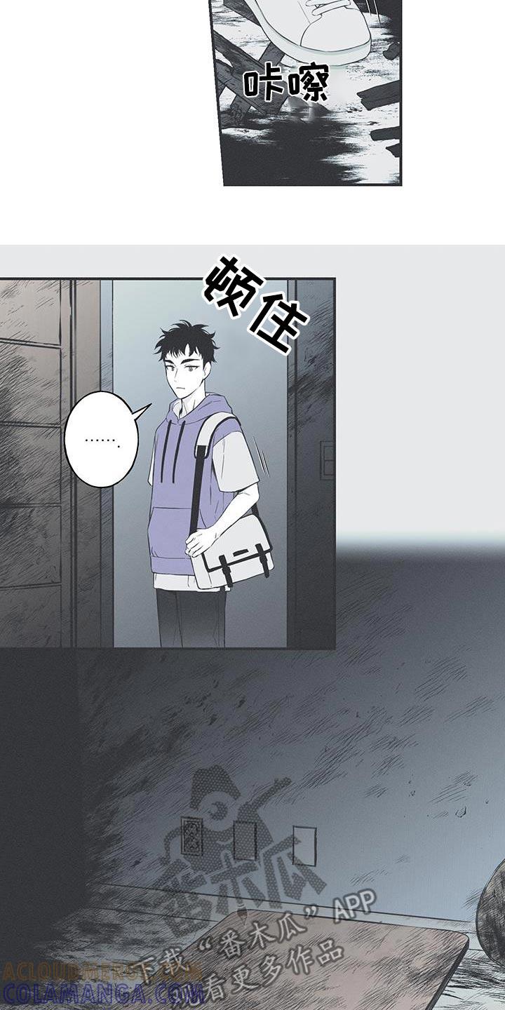 《蛇环凶危》第97章：【第三季】不见了 第13页