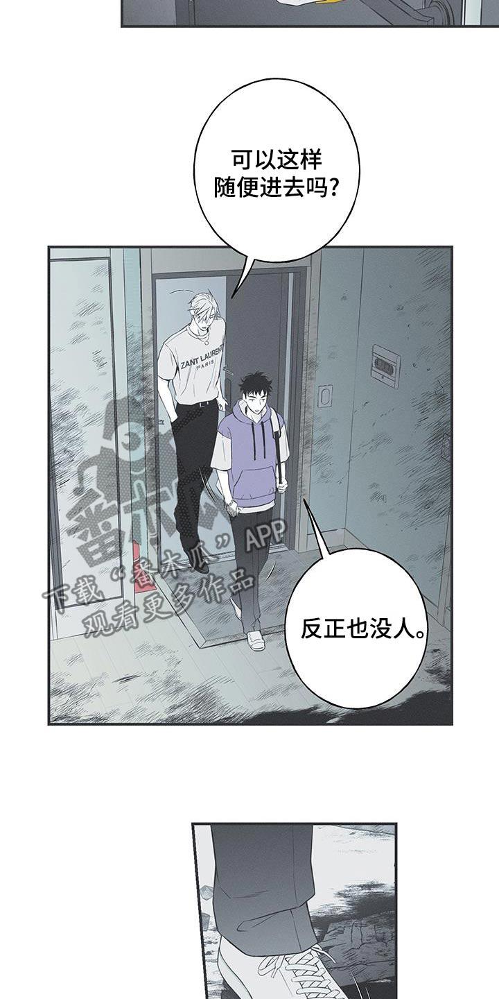 《蛇环凶危》第97章：【第三季】不见了 第12页