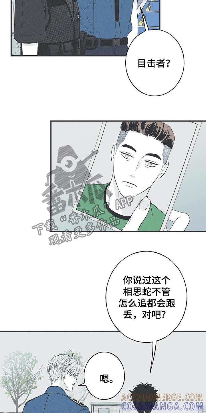《蛇环凶危》第98章：【第三季】调查 第3页