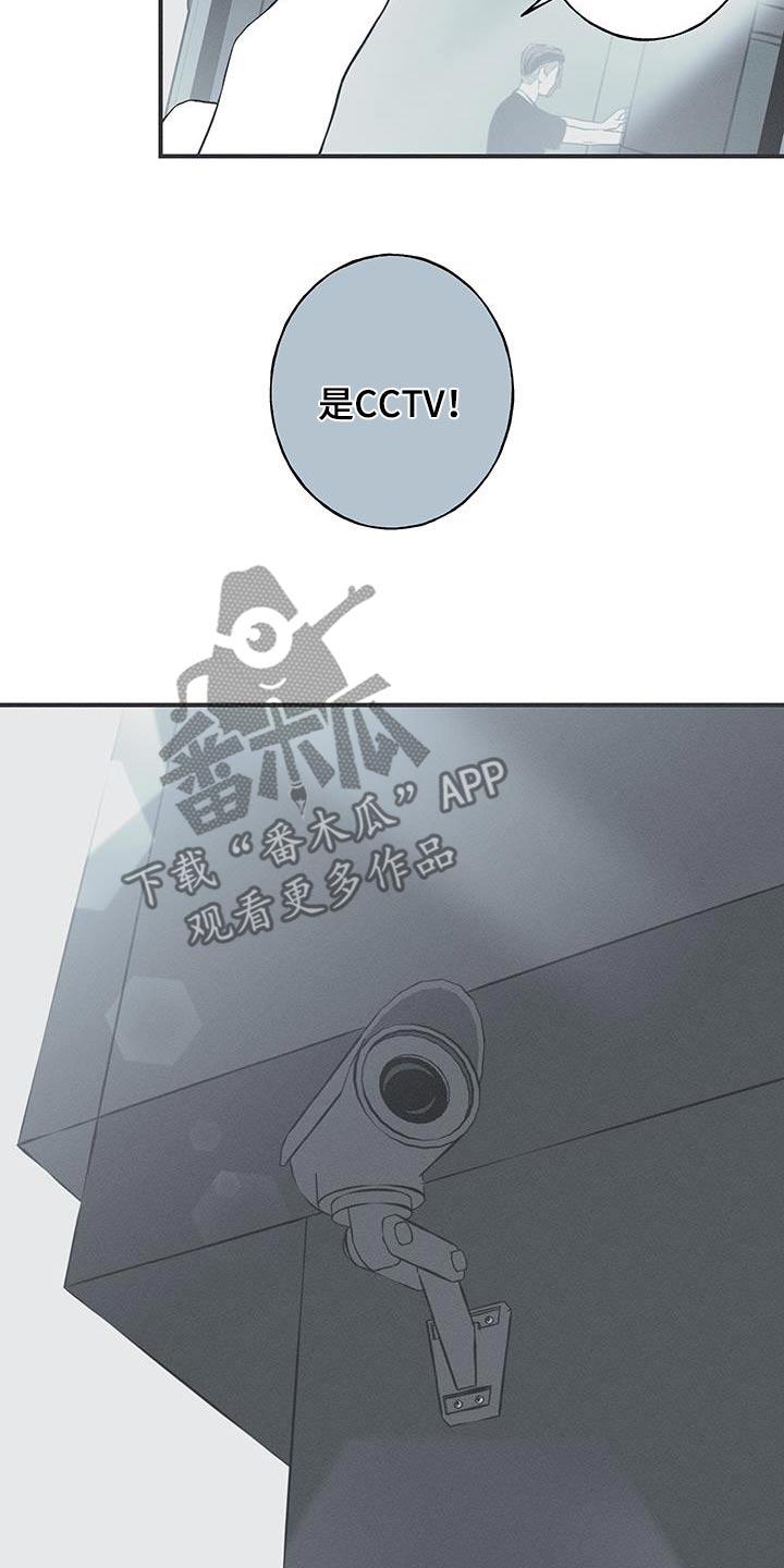 《蛇环凶危》第98章：【第三季】调查 第8页