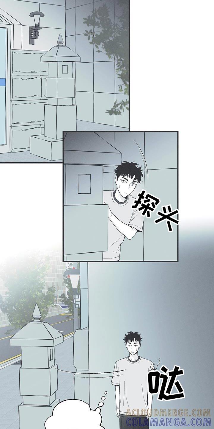 《蛇环凶危》第99章：【第三季】我最合适 第7页
