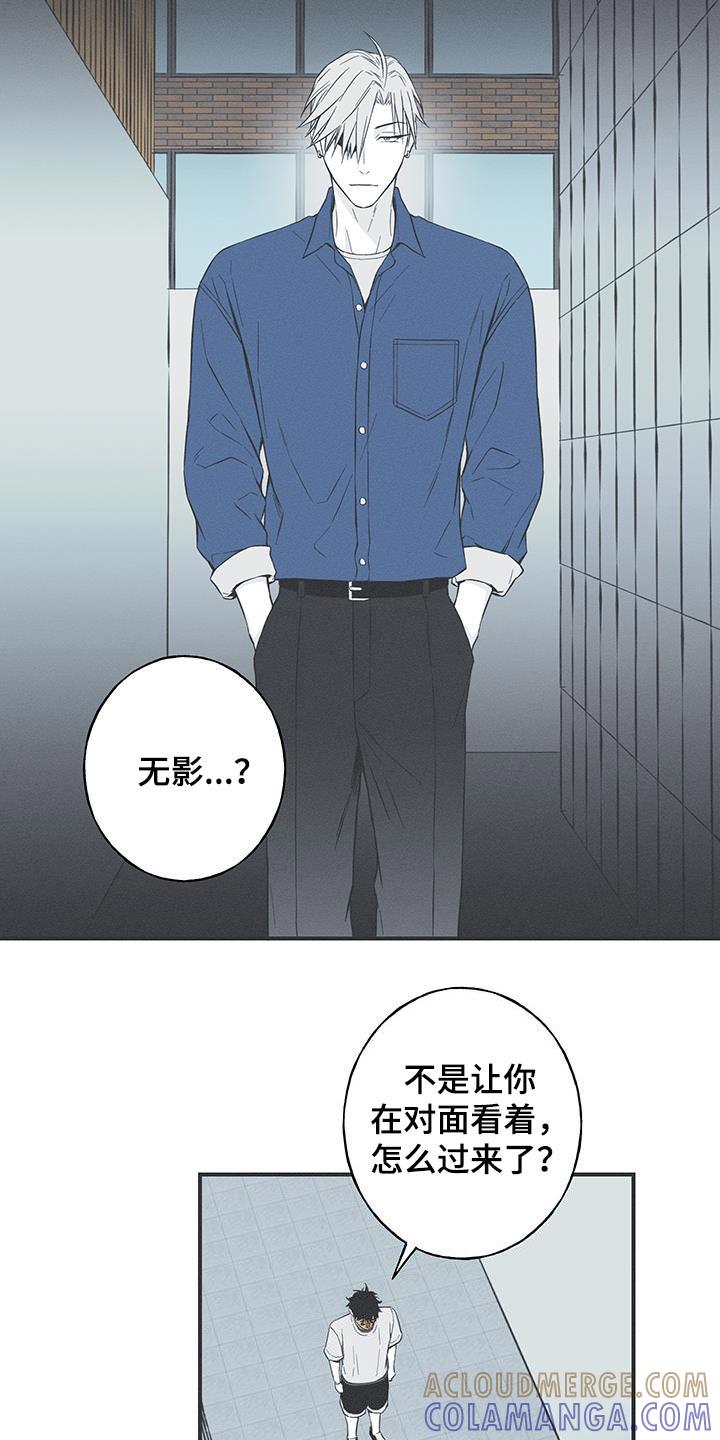 《蛇环凶危》第99章：【第三季】我最合适 第17页
