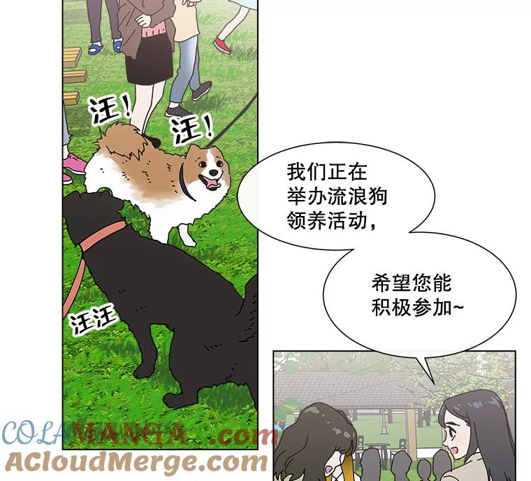 《青春之家》12.流浪狗收留活动 第37页