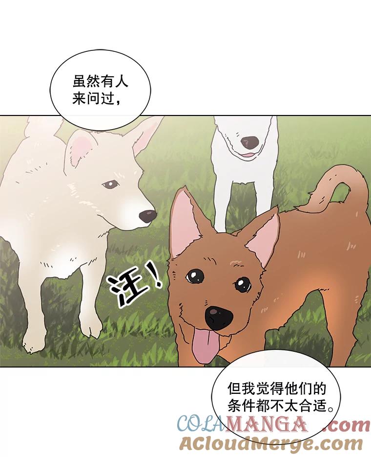 《青春之家》12.流浪狗收留活动 第4页