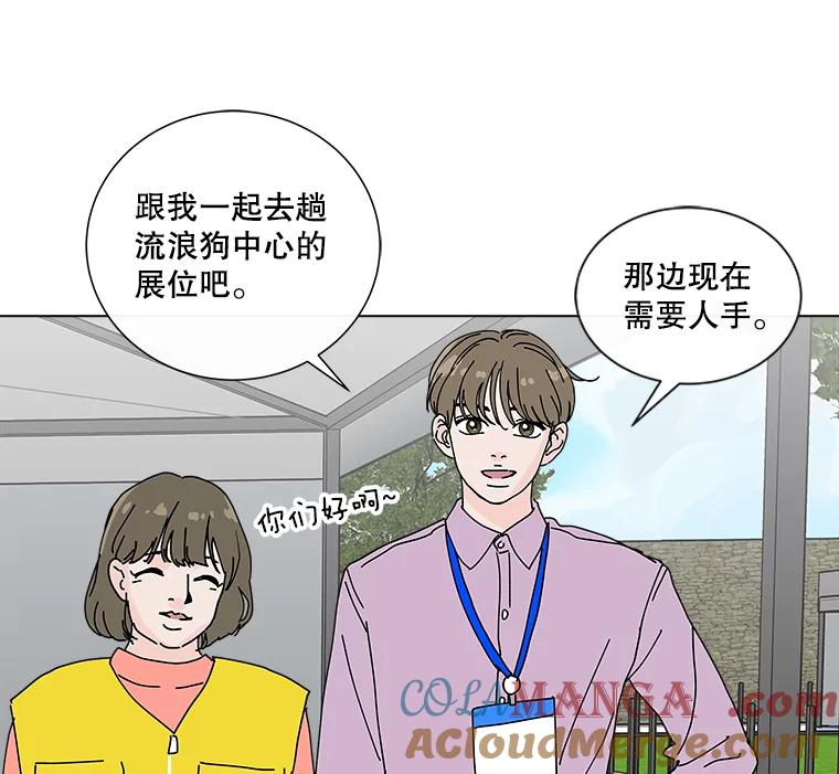 《青春之家》12.流浪狗收留活动 第52页