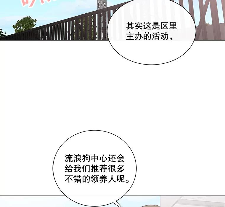 《青春之家》12.流浪狗收留活动 第2页