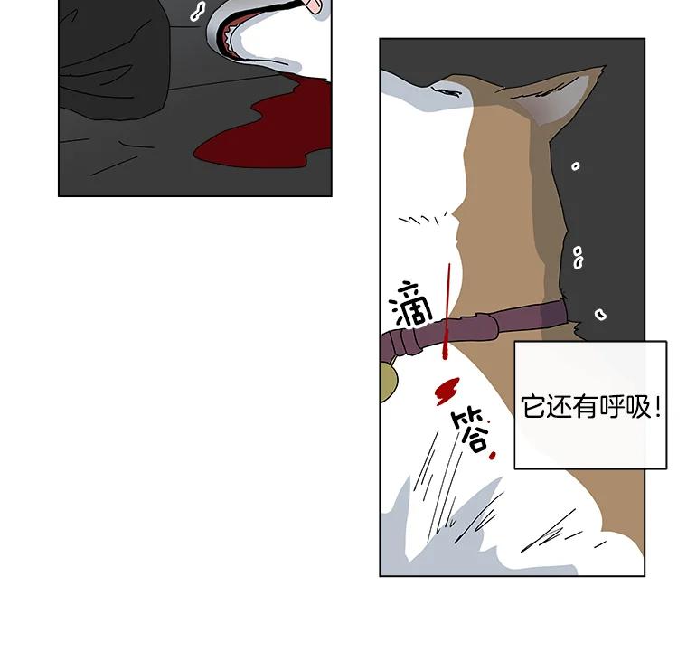 《青春之家》15.命运 第44页