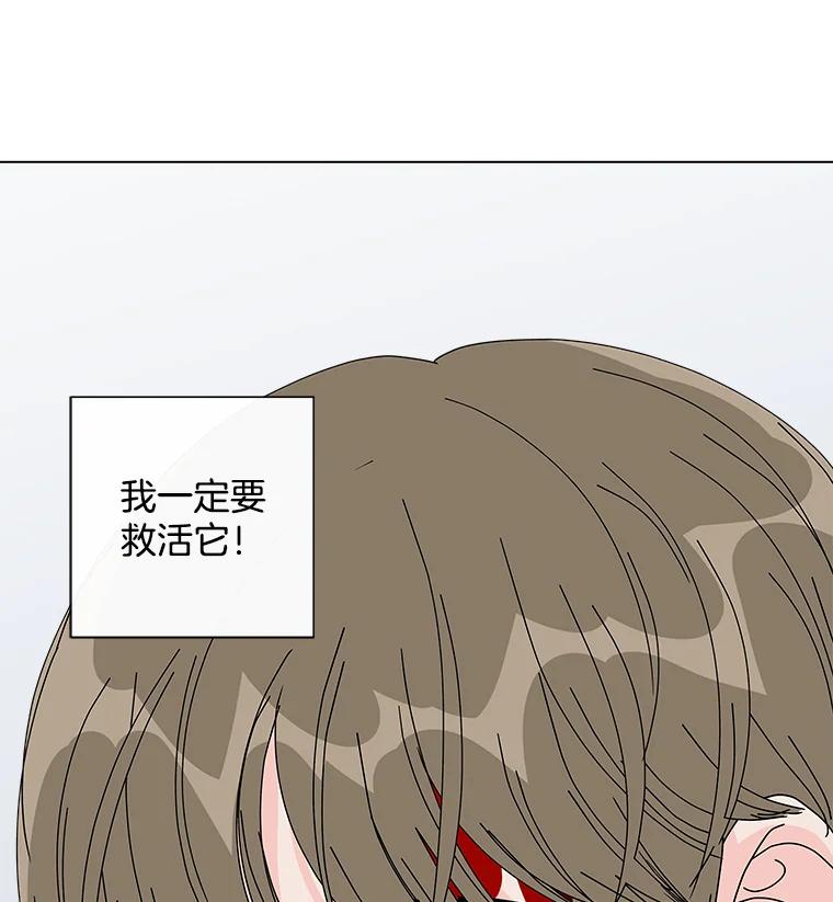 《青春之家》15.命运 第45页