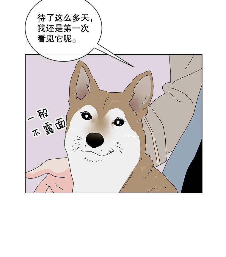 《青春之家》15.命运 第27页