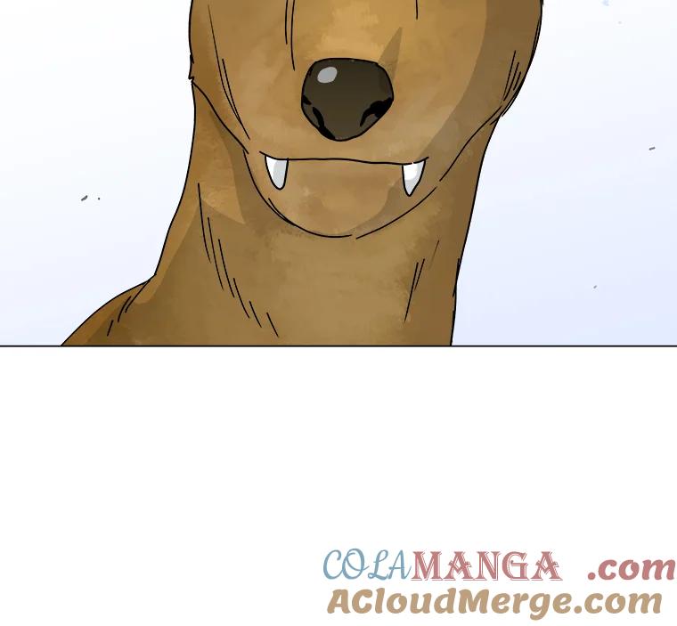 《青春之家》2.初见阳光小屋 第101页