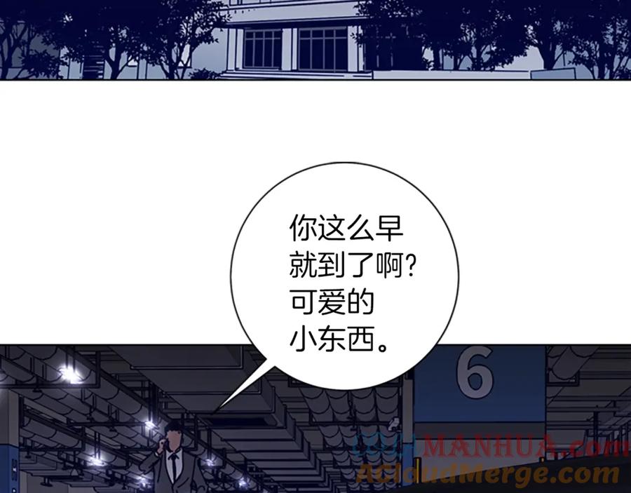 《清道夫K》第1话 K，回来了 第5页