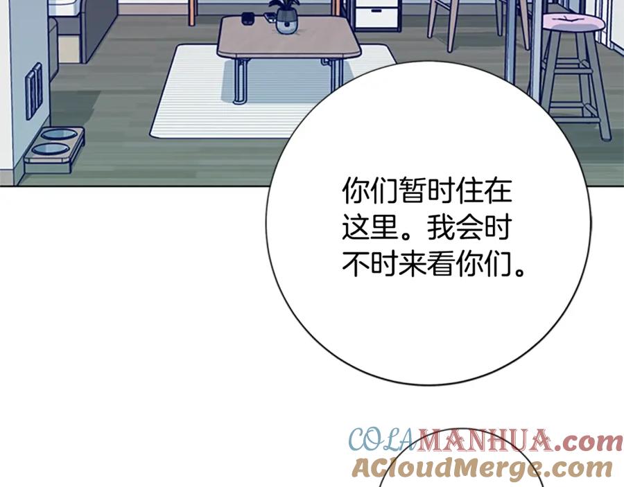 《清道夫K》第87话 案件梳理 第53页