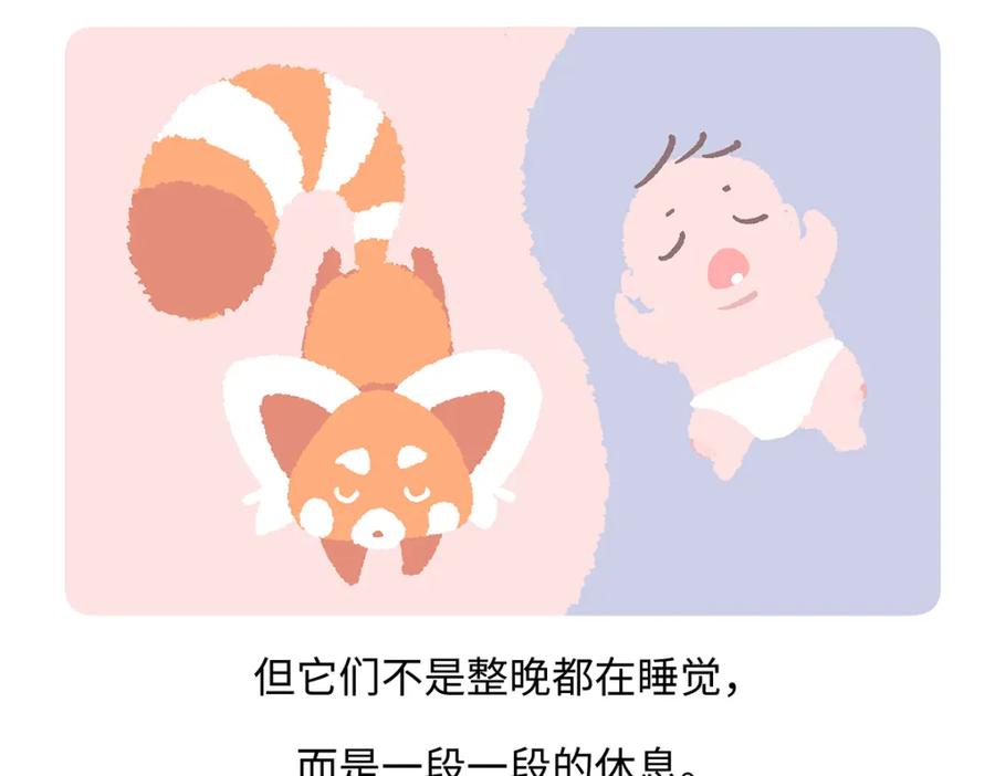 《胖达x胖达》第260话 第22页