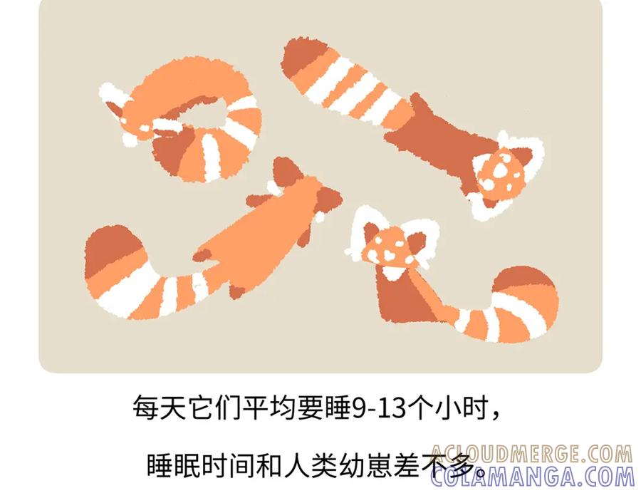 《胖达x胖达》第260话 第21页