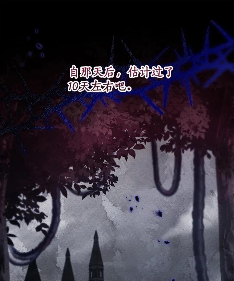 《成为主角的命定救星》126.前往大迷宫 第26页