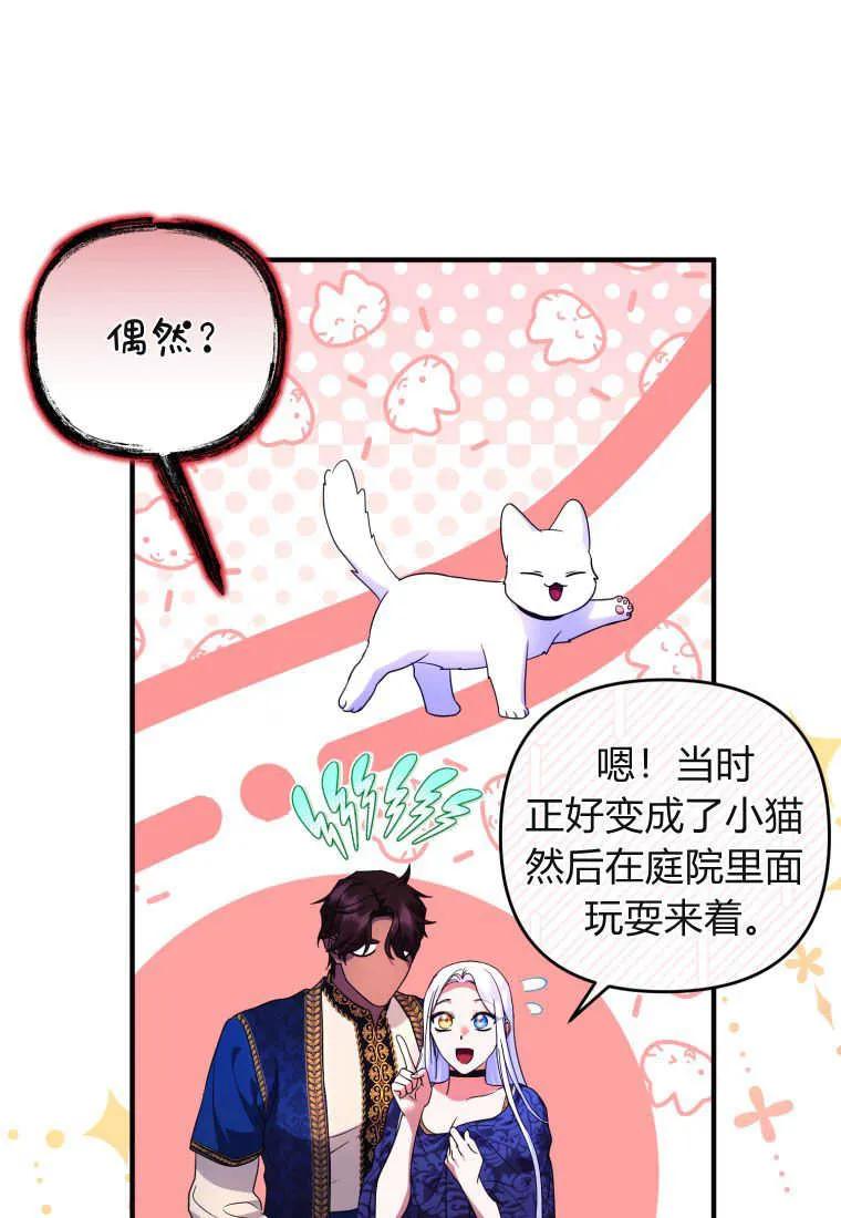 成为苏尔坦珍爱的猫咪 第35话 第18页