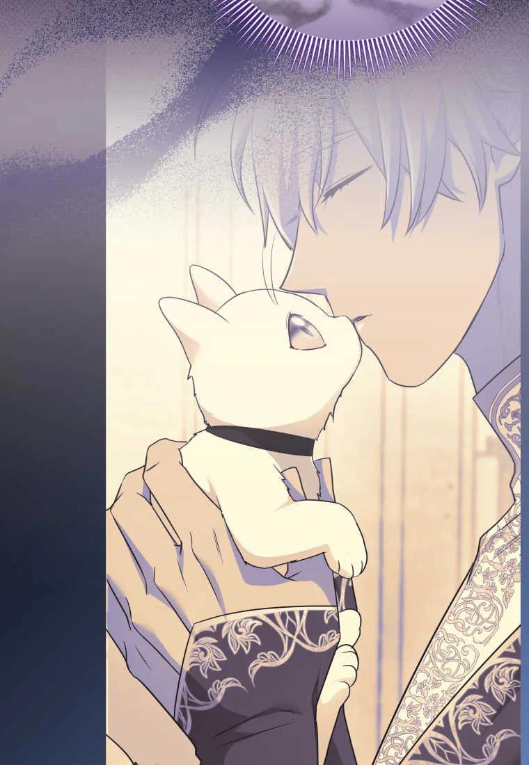 成为苏尔坦珍爱的猫咪 第35话 第11页