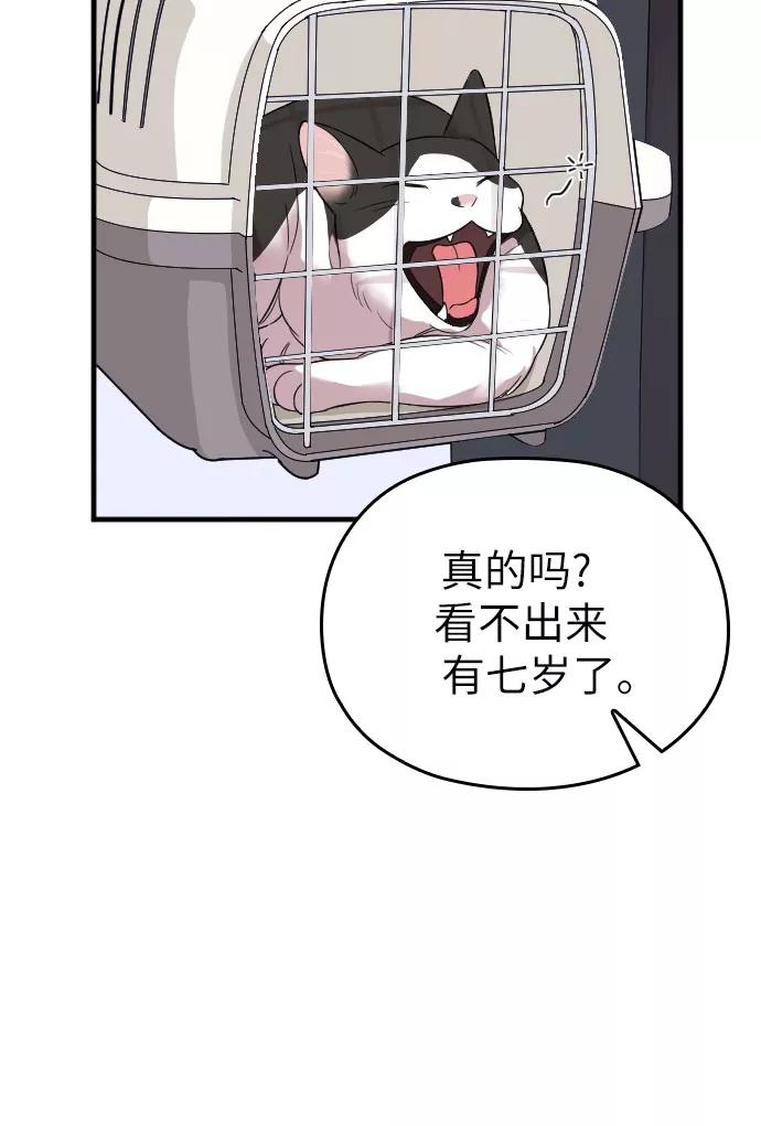 《请和我的老公结婚》第28话 第66页