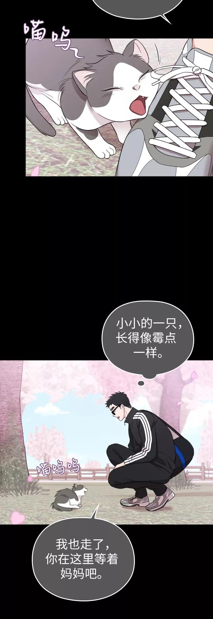 《请和我的老公结婚》第32话 第27页