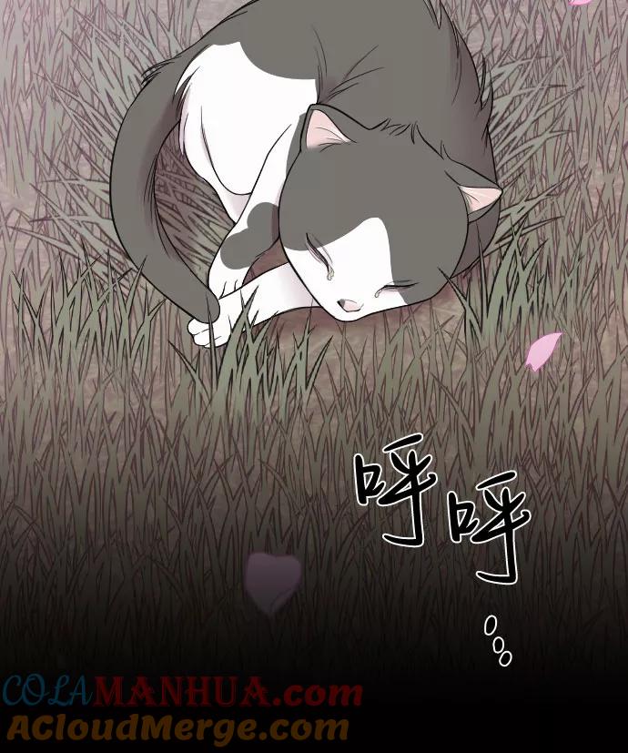 《请和我的老公结婚》第32话 第16页
