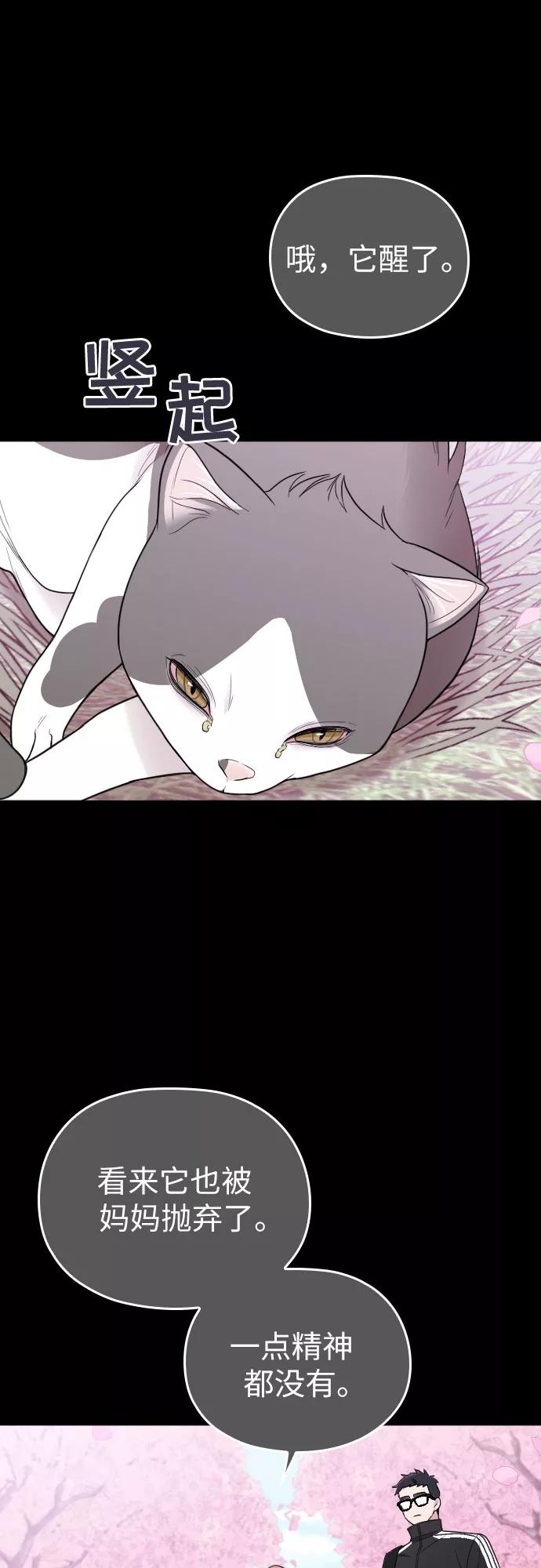 《请和我的老公结婚》第32话 第17页