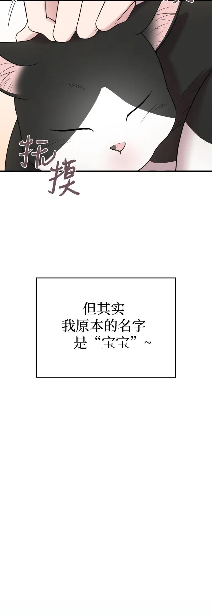 《请和我的老公结婚》番外9话 第5页