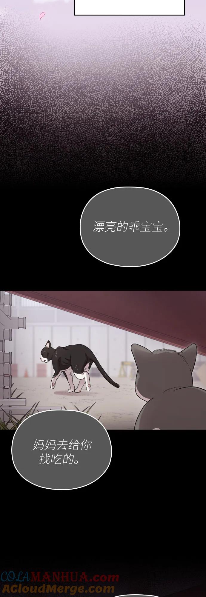 《请和我的老公结婚》番外9话 第7页