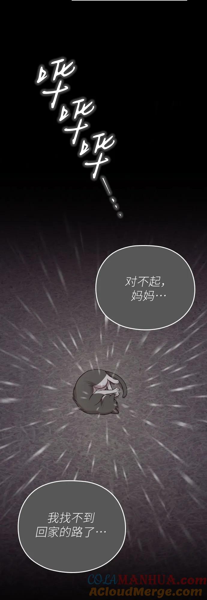 《请和我的老公结婚》番外9话 第10页