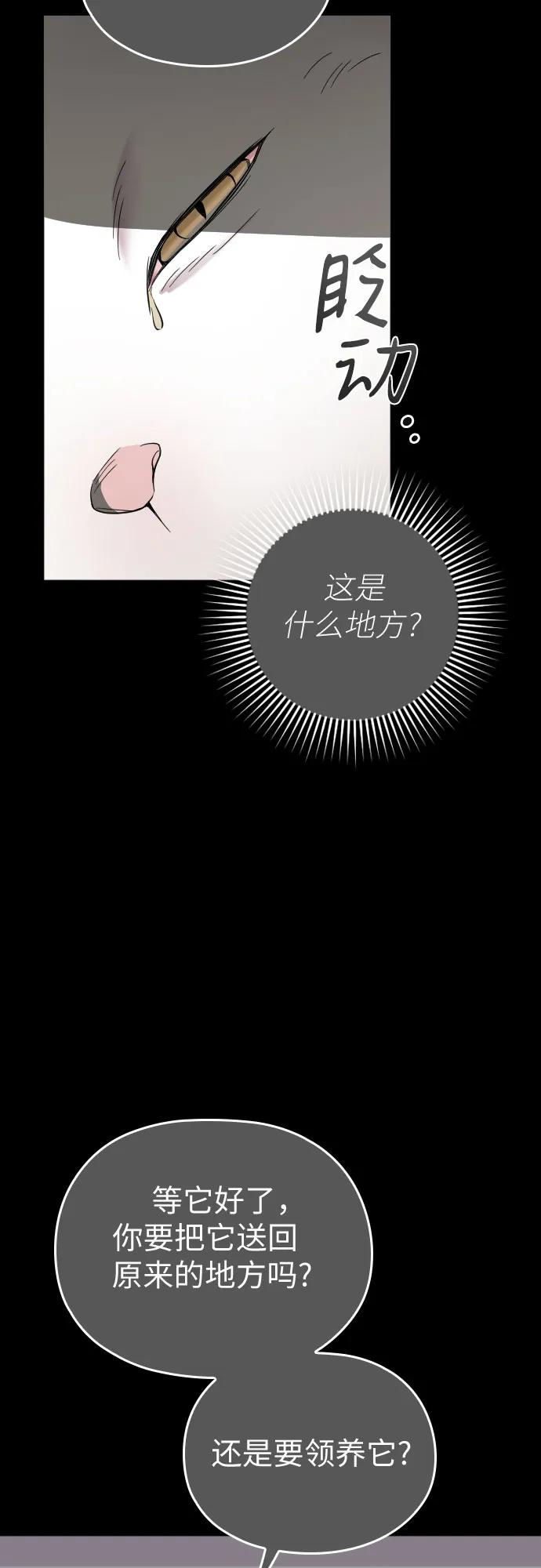 《请和我的老公结婚》番外9话 第33页