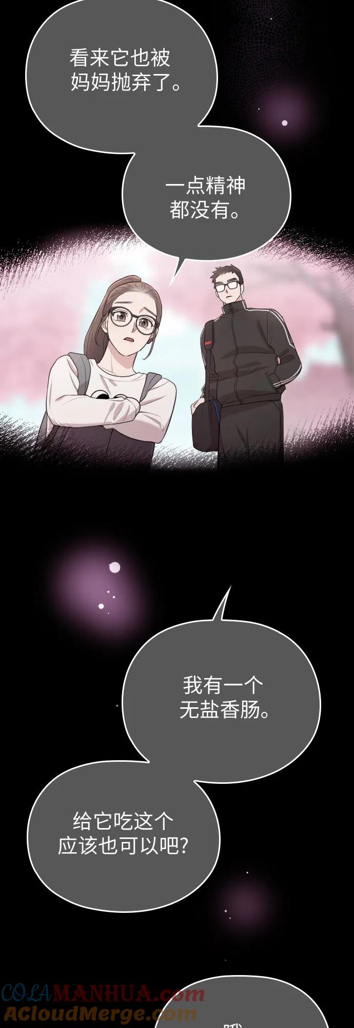 《请和我的老公结婚》番外9话 第13页