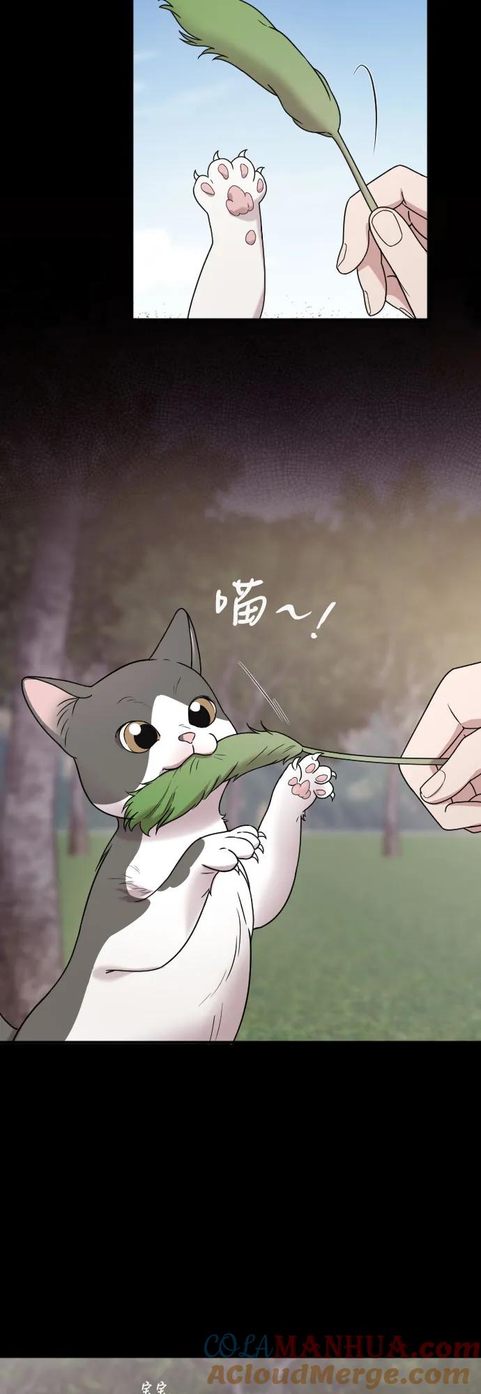 《请和我的老公结婚》番外9话 第25页