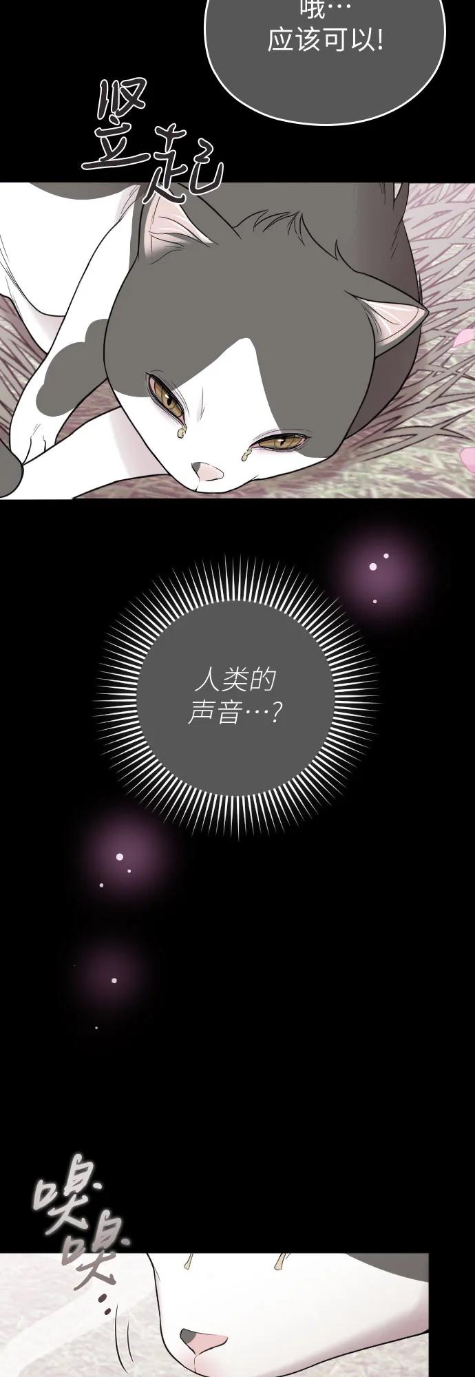 《请和我的老公结婚》番外9话 第14页