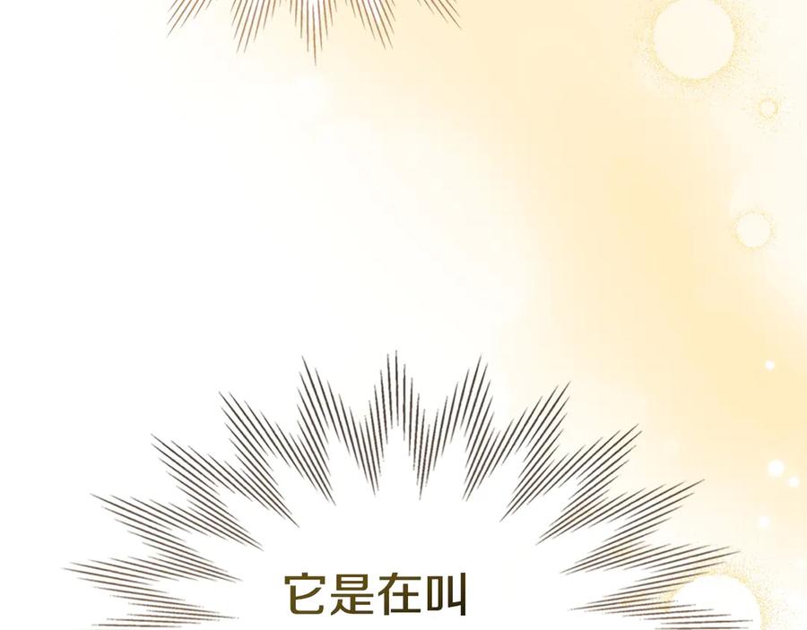 冬城的囚犯小公主 第69话 确实是我 第156页