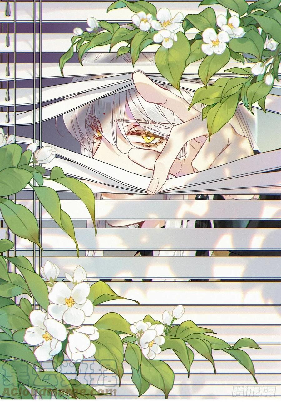 《请君入卦》第19卦：聚灵棺 4 第1页