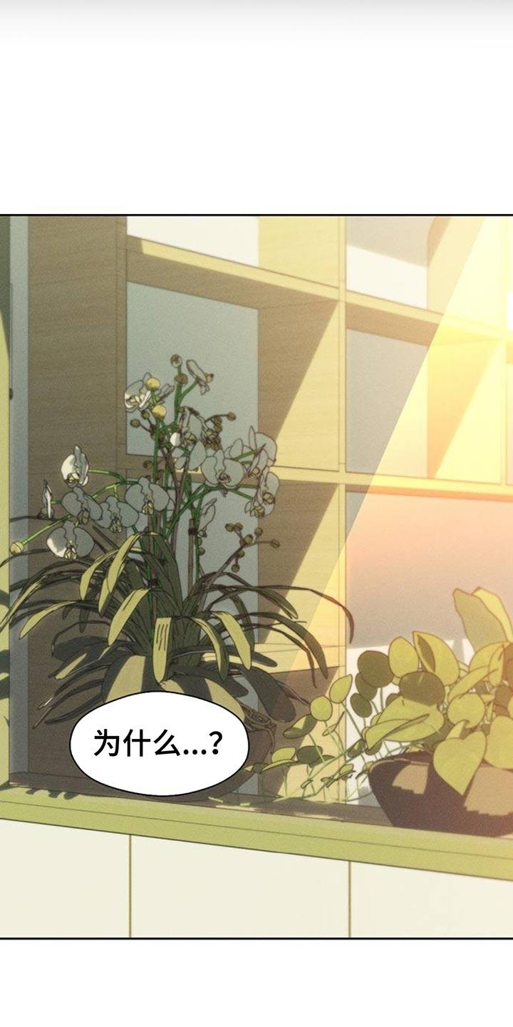 枯萎的花伤心的泪 第84章：不单纯的意图 第26页