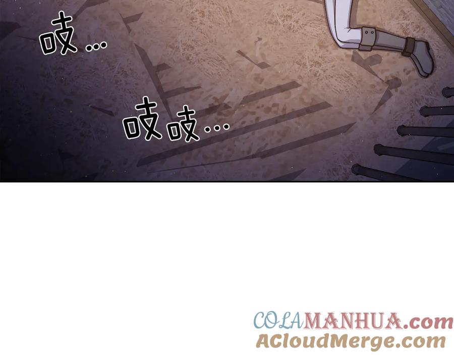 《骑士团的后花园》第11话 特殊之夜 第5页