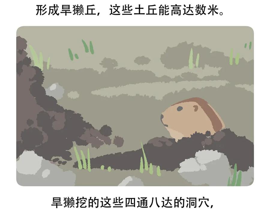 《胖达x胖达》第89话 第28页