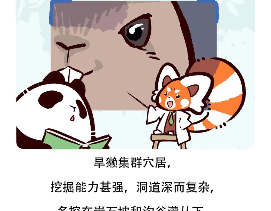 《胖达x胖达》第89话 第26页